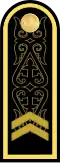 Екінші сатылы старшина Ekinşi satılı starşïna (Kazakh Naval Forces)[4]