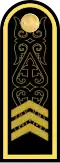 Бірінші сатылы старшина Birinşi satılı starşïna (Kazakh Naval Forces)[4]