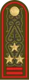 Полковник Polkovnïk[10] (Kazakh Ground Forces)