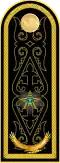 Контр-адмирал Kontr-admïral (Kazakh Naval Forces)[29]