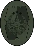 Battledress identification patch of the Armed Forces of the Philippines