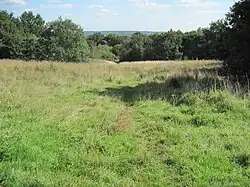 Arrandene Open Space