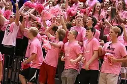 a crowd of people in pink cheer furing a Dig Pink Rally.