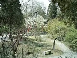 A public park