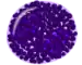 Basophil