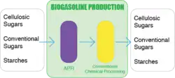 Biogasoline Production Process