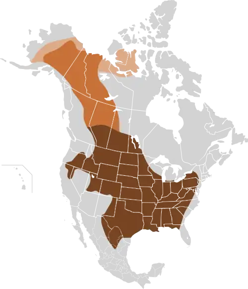 Original distribution of plains bison and wood bison in North America along the "great bison belt". Holocene bison (Bison occidentalis) is an earlier species at the origin of plains bison and wood bison. &nbsp;&nbsp;Holocene bison &nbsp;&nbsp;Wood bison &nbsp;&nbsp;Plains bison