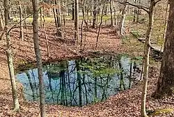 A view of a large hydrological spring