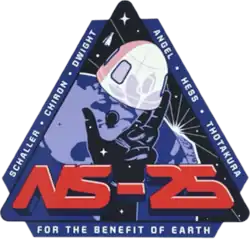 NS-25 logo