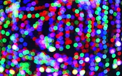 An example of the bokeh produced by the Canon 18–55&nbsp;mm f/3.5–5.6 IS II lens.