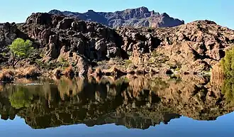 Arboretum pond