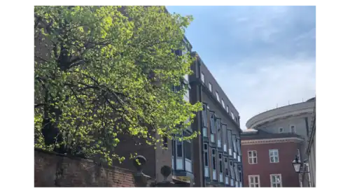 Faculty of Asian and Middle Eastern Studies, University of Oxford