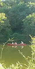 Canoeing near Pocopson