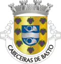 Coat of arms of Cabeceiras de Basto