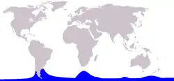 Hourglass dolphin range