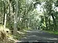 Road to and from Chayalode