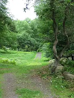 Among the green paths of the arboretum.