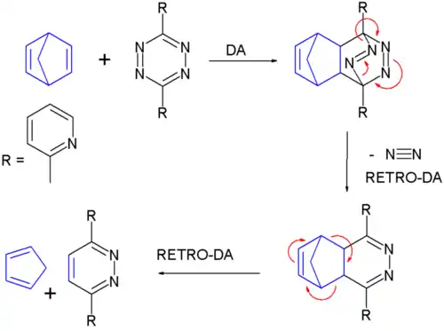 reaction of norbornadiene with 3,6-di-2-pyridyl-1,2,4,5-tetrazine