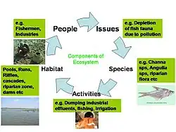 How to alter certain biological interactions in order to optimise survival of the system