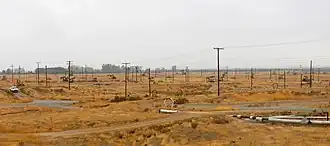 Edison field, Racetrack Hill area, showing steam expansion loops and widely dispersed wells.