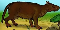 Restoration of Eporeodon major