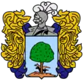 Official seal of Chancay