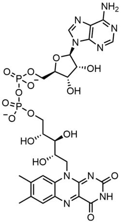 Stereo, Kekulé, skeletal formula of FAD