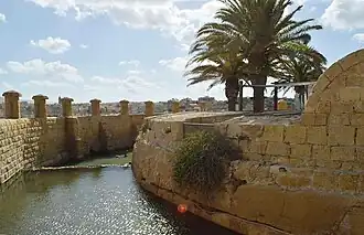 The moat