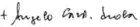 Angelo Scola's signature
