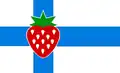 Flag of Chassell, Michigan