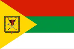 Flag of Chitinsky District