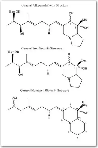 General Structures