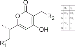 Chemical Structure of Germicidin A-D