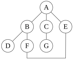 An undirected graph with edges AB, BD, BF, FE, AC, CG, AE