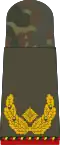 Brigadegeneral (retired)