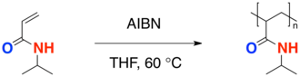 Homopolymerization of PNIPA