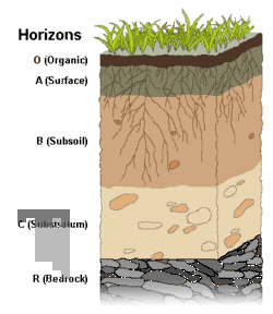 Diagram of soil horizons