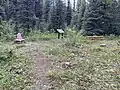 Howse Pass in August 2025