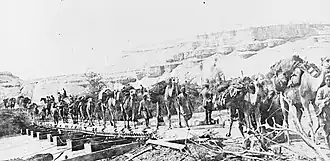 Many fully loaded camels crossing bridge built on square end boats; steep sided mountains in background