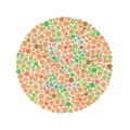 Ishihara Plate No. 19 (hidden 2)