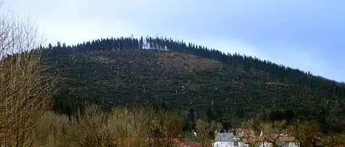 The forest on the Lindenberg mountain above Ilmenau, Germany was heavily damaged