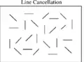 Line cancellation neglect test