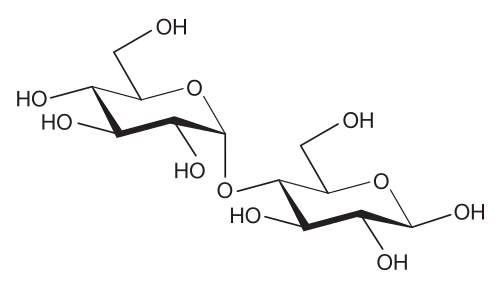 Maltose