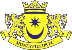 Moneyfields' logo