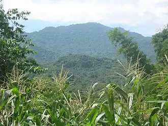 Mount Banoy.jpg
