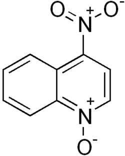 Structural formula of 4-nitroquinoline 1-oxide
