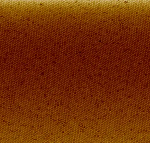Polystyrene nanoparticle coating done with the Langmuir-Blodgett method