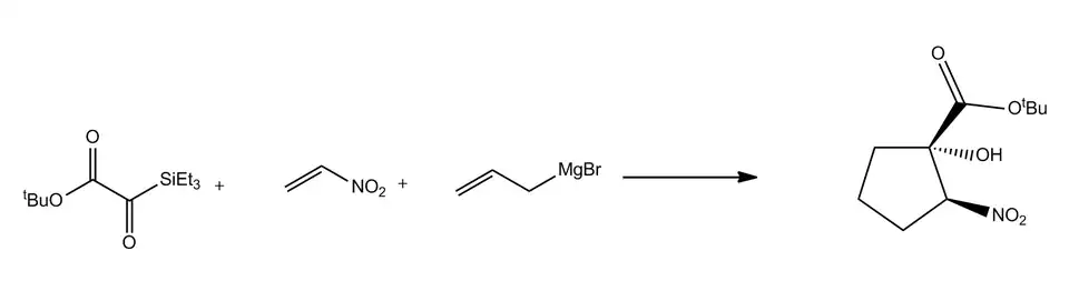 Nitroethylene coupling reaction with a vinyl Grignard and a silyl glyoxalate