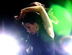 Noche Flamenca, part of CMA's VIVA! & Gala, now called the Performing Arts Series[67]