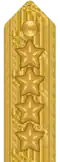 Shoulder mark on uniform m/87 (Army and Air Force) (1987–present)